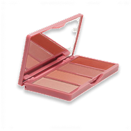 Pro Blush Quad Palette