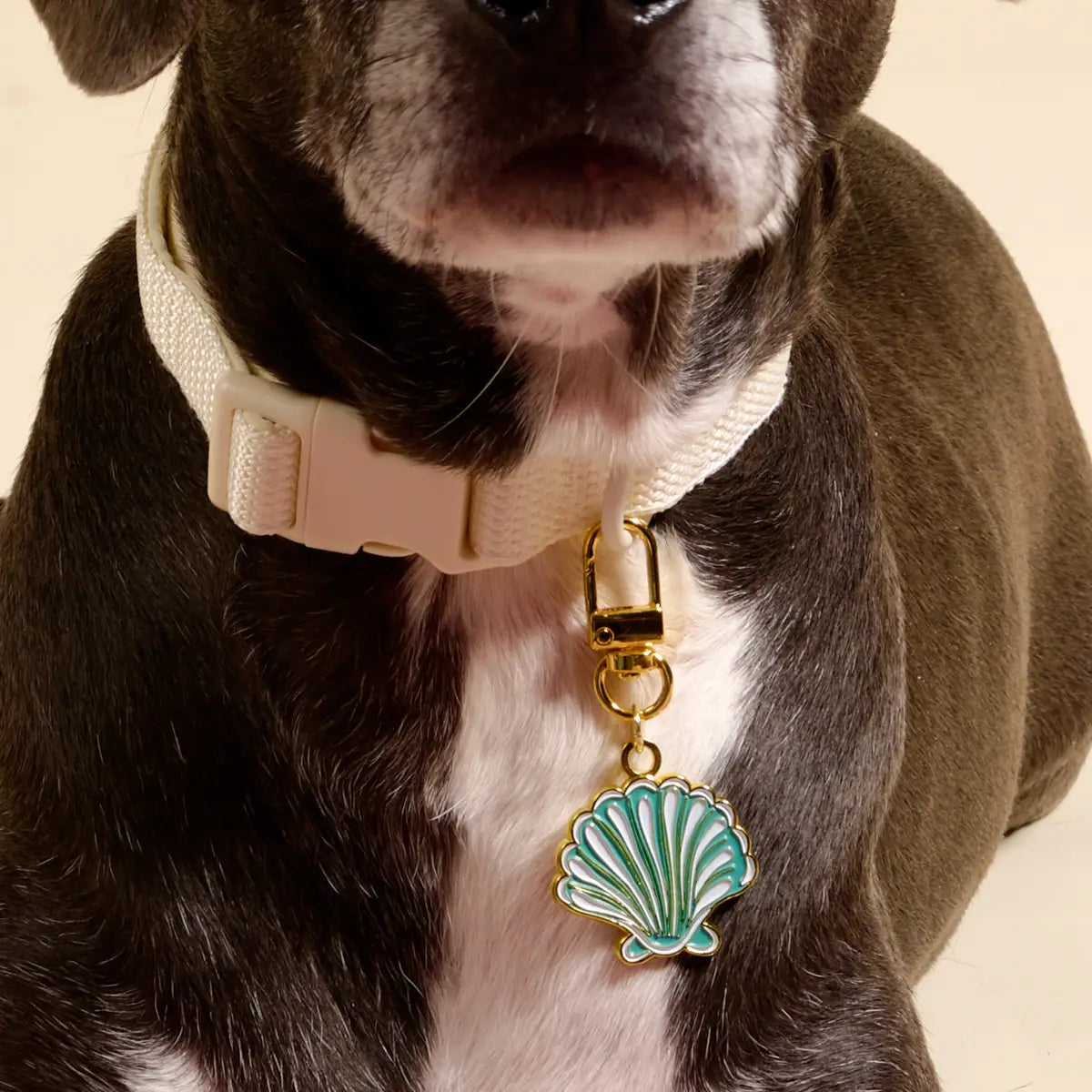 Pawfect Collar Charm–Seashell