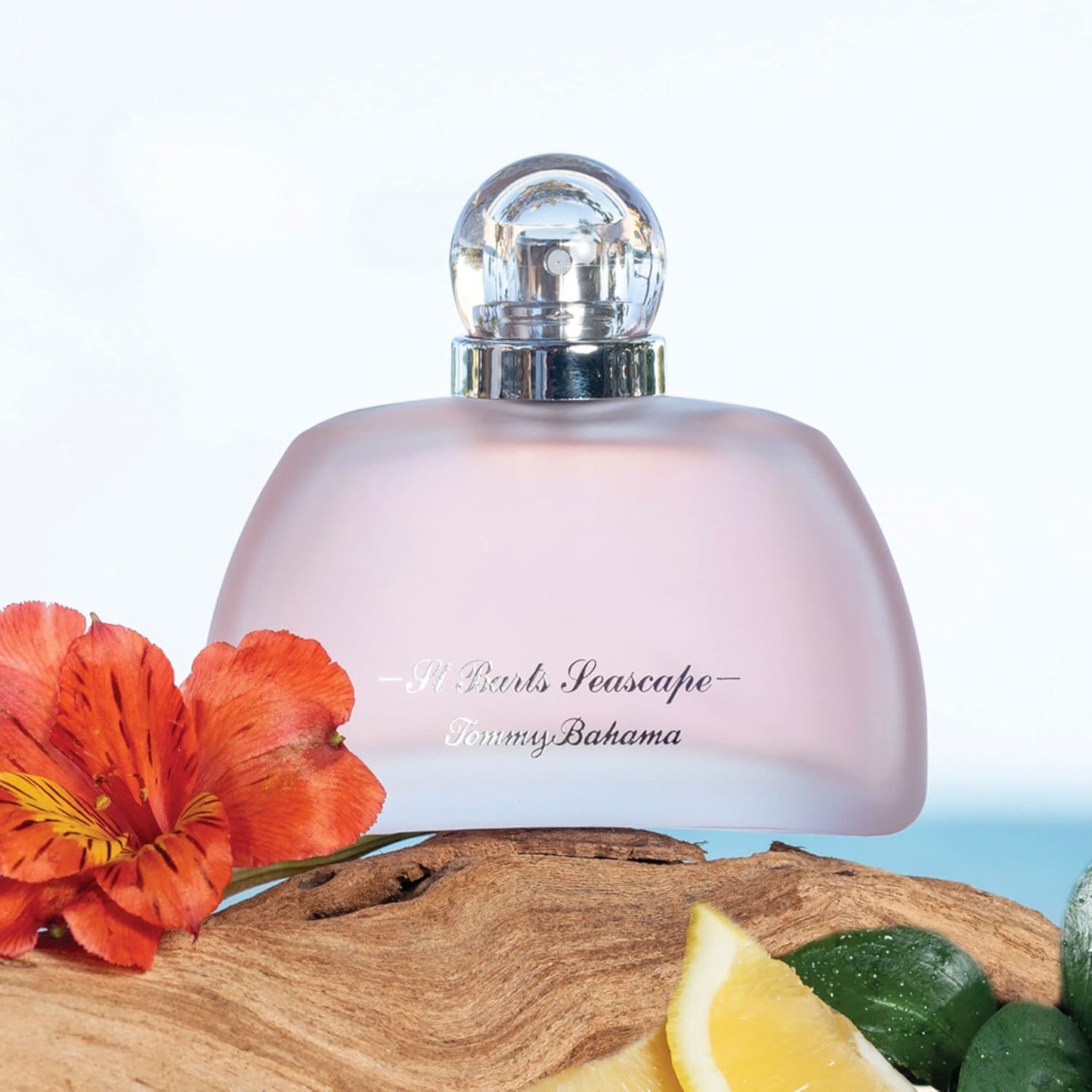 St Barts Seascape Spray