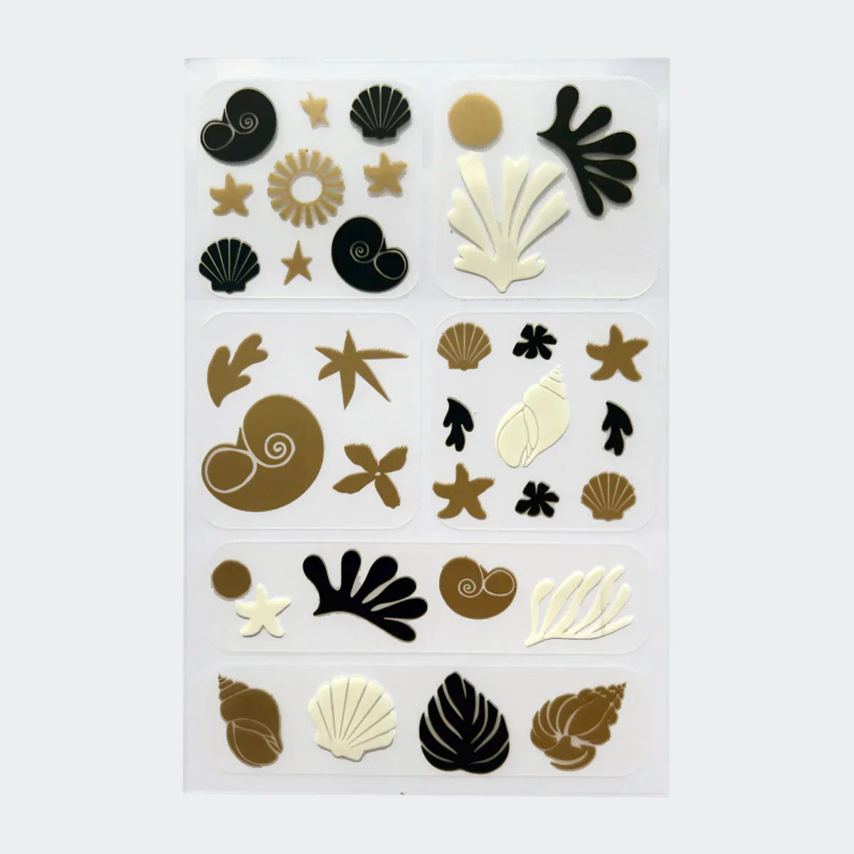 Travel Well 6 Pack Patches - Shell Collage