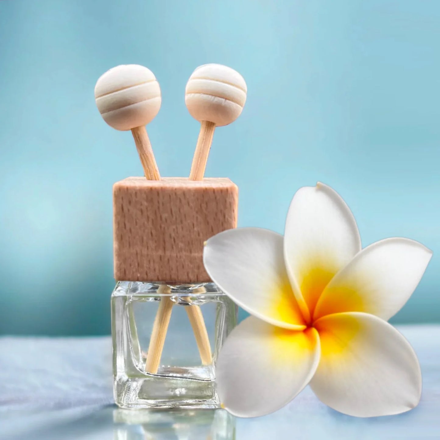 Beach House | Car Diffuser