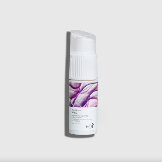 She’s Like the Wind: Invisible Dry Shampoo + Conditioner