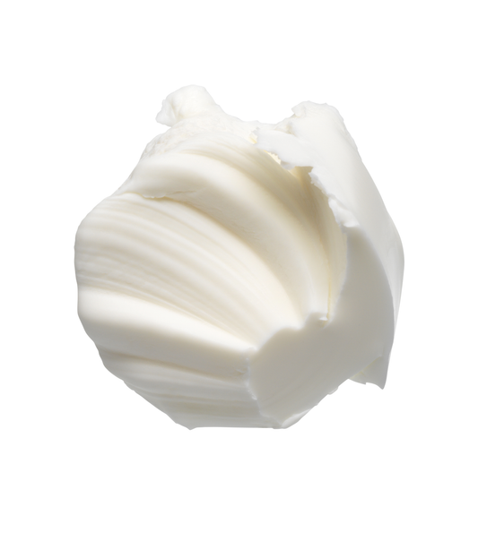 Sumotech