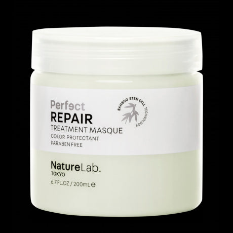 PERFECT REPAIR MASQUE